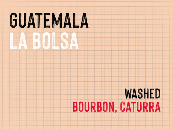 La Bolsa, Vides Family, Guatemala |  Washed MUK-8064