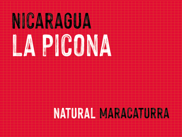 La Picona, Martha Lucía Albir, Nicaragua |  Natural MUK-7847