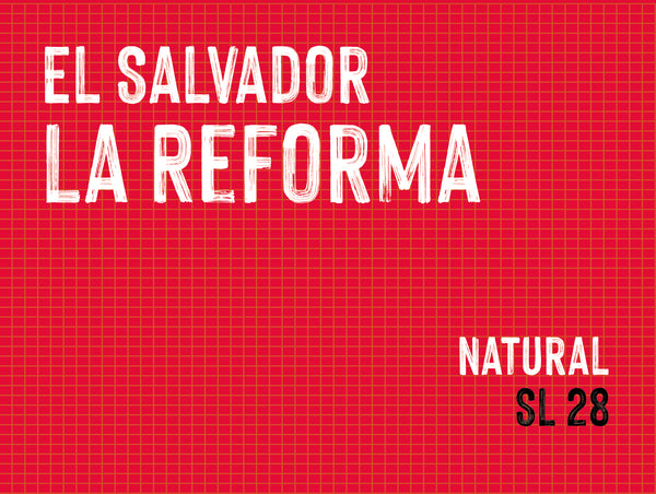 La Reforma , Alvarez family, El Salvador |  Natural MUK-8058