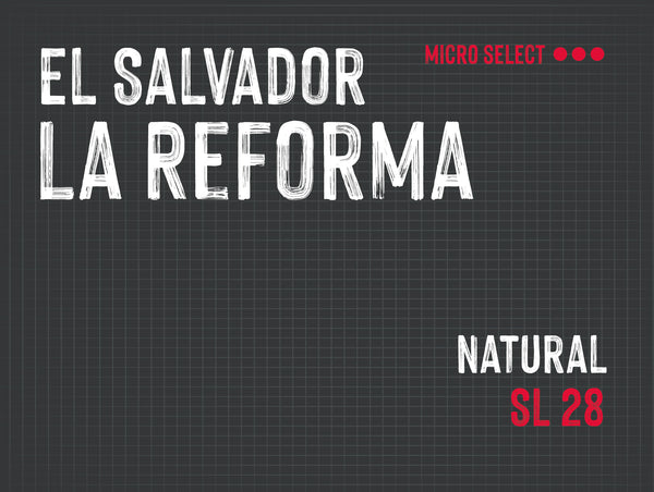 La Reforma , Alvarez family, El Salvador |  Natural MUK-8058
