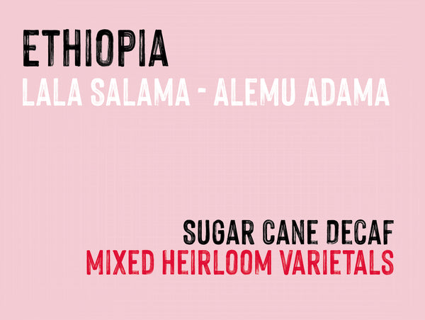 Lala Salama - Alemu Adama, Ethiopia |  Sugar Cane Decaf MUK-8451