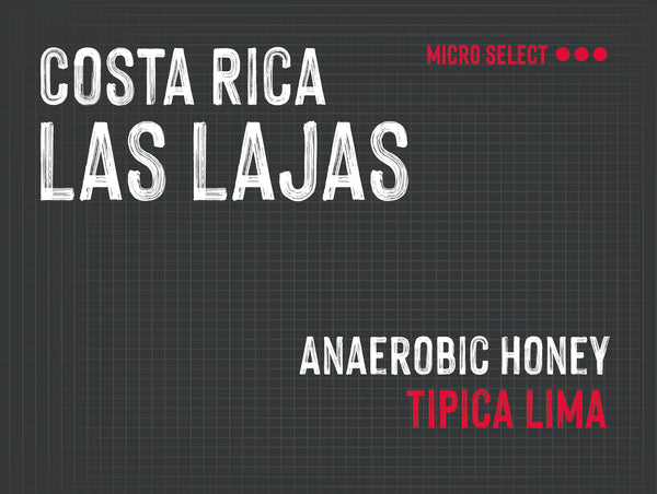 Las Lajas , Chacon Family, Costa Rica |  Anaerobic Honey MUK-7924