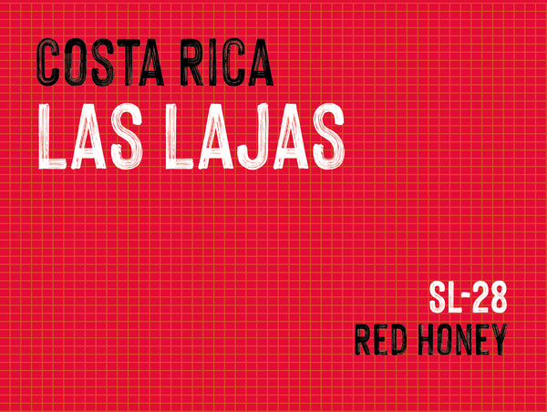 Las Lajas , Chacon Family, Costa Rica |  Red Honey MUK-7921