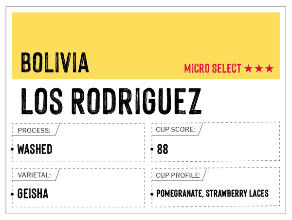 Los Rodriguez, Caranavi - Bolivia | Washed, Geisha | MUK-7293