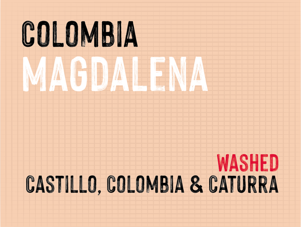 Magdalena, Antioquia Regional , Colombia | Washed MUK-7588