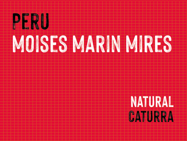 Moises Marin Mires, La Palma, Peru |  Natural MUK-8352