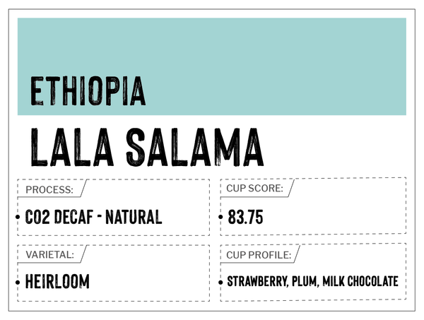 Lala Salama, Ethiopia | Sparkling Water Decaf