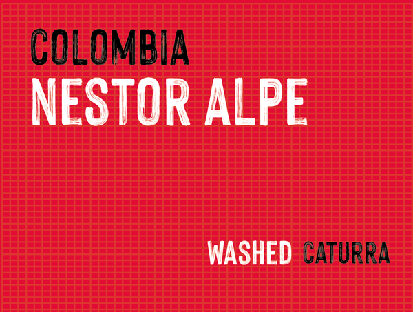 Nestor Alpe, Colombia | Washed - MMY-0140