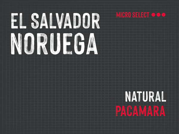 Noruega, Ahuachapon, El Salvador |  Natural MUK-7958