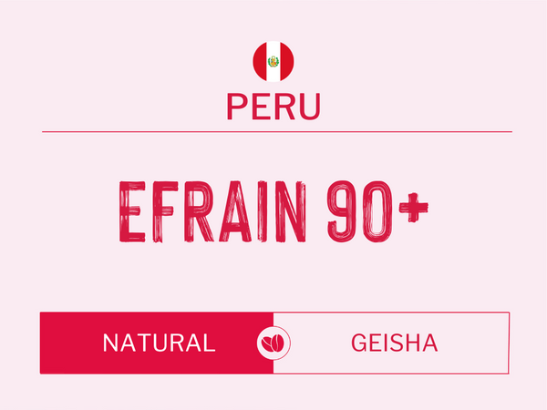 Efrain 90+ Geisha, Peru | Natural