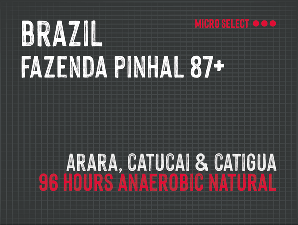 Fazenda Pinhal 87+, Brazil | 96 Hours Anaerobic Natural - MMY-0128