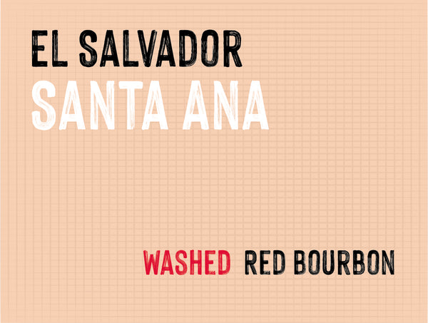 Santa Ana, El Borbollon, El Salvador | Washed MUK-7680