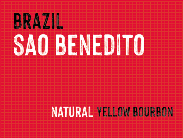 Microlot Sao Benedito, Brazil | Natural - MMY-0119
