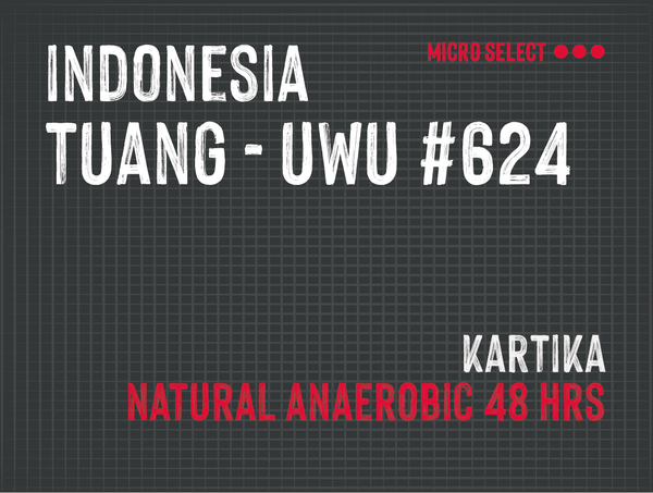 Tuang Coffee Uwu #624, Indonesia | Natural Anaerobic - MMY-0159