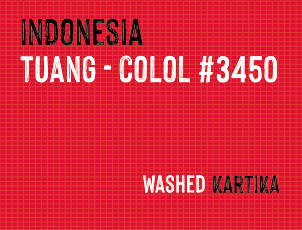 Tuang Coffee Colol #3450, Indonesia | Washed - MMY-0129