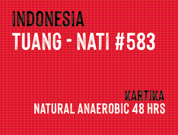 Tuang Coffee Nati #583, Indonesia | Natural Anaerobic - MMY-0130
