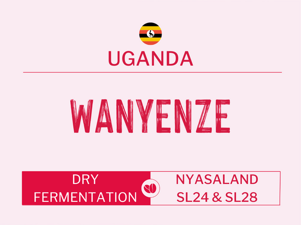 Wanyenze, Uganda | Dry Fermentation