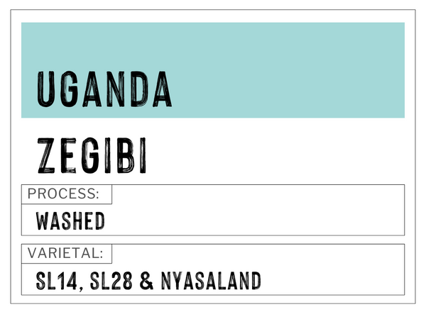 Uganda - Zebigi | Washed | SL14, SL28 & Nyasaland