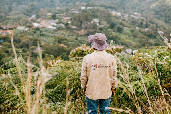 COLOMBIA - INMACULADA FELLOW FARMS | Anaerobic Natural