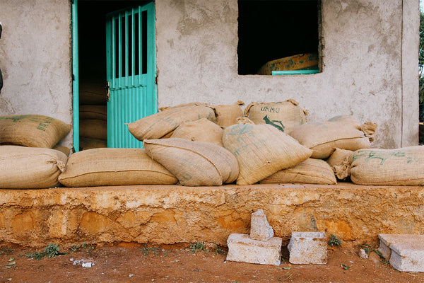 ETHIOPIA - MUSTEFA ABAKENO Beshasha lot #4 | Washed