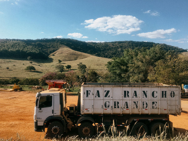 BRAZIL - RANCHO GRANDE | Natural