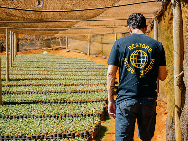 BRAZIL - FAZENDA PINHAL | Natural